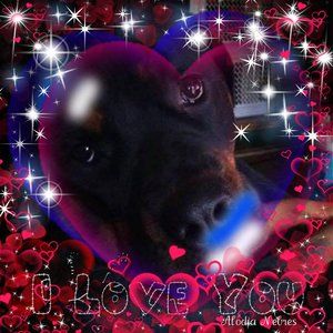 Meet your Posher, Sherri lee